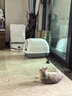 欢宠网猫玩具猫咪吸盘逗猫棒自动羽毛自嗨解闷神器铃铛猫猫幼猫小猫宠物 实拍图