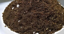 思威博营养土种菜土花土通用型有机种花养花土壤种植土泥土绿植盆栽泥炭 50斤有机通用营养土 实拍图