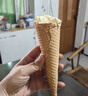 慧员（hopeone）巧克力冰淇淋粉1kg*20包/箱装甜筒雪糕奶球冷饮自制雪糕批发商用 实拍图