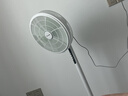 美菱（MeiLing）电风扇/落地扇家用平面扇立式摇头电扇办公卧室节能省电/台立两用多叶大风量香薰款MPF-DLHM6P 实拍图
