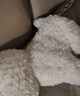 babycare儿童毛绒玩具狗电子宠物西高地动物玩偶生日周岁礼物学说话早教 实拍图