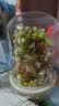 雅拼山茶栀子花积木盆栽手工diy拼装桌面拼图摆件情人节生日礼物女生 新品-绿野流光【配暖灯+防尘罩】 实拍图