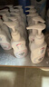 威露士清可新去经血渍内裤净150ml*2 内衣清洗液手洗洗衣液进口生物酶 实拍图