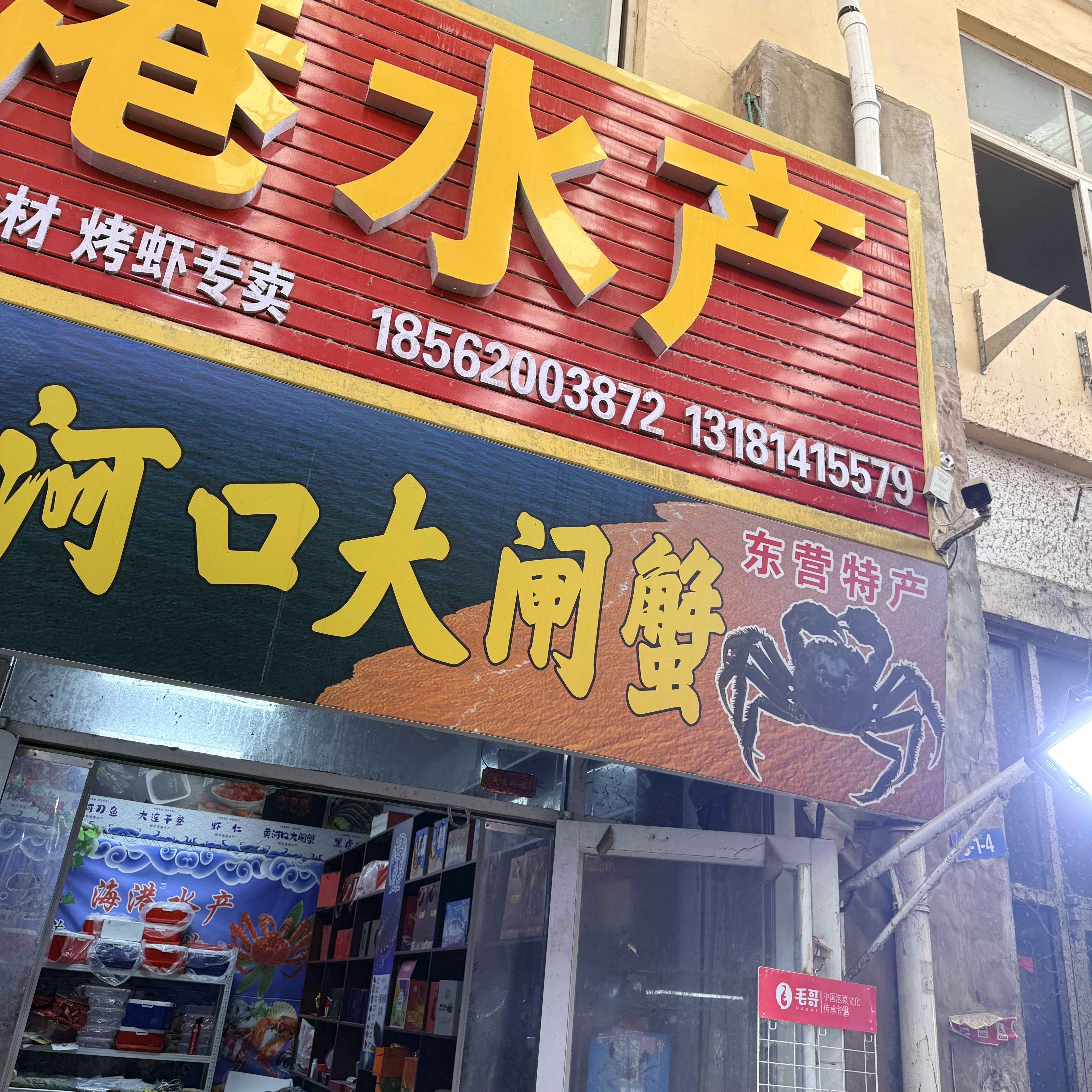 福丸 宠物除臭喷雾  猫尿便后生物酶除味剂 白茶香型 340ml 猫狗通用 实拍图