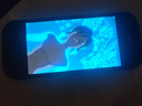 任天堂（Nintendo）【国内保税仓】Switch2/1代 OLED/续航加强日版/港版便携家用ns体感游戏机掌机 新加坡版switch2赛车同捆+Pro手柄 实拍图