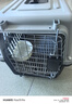 腆宠宠物航空箱小号 猫咪航空箱猫狗 猫包猫笼外出车载猫箱狗狗托运 实拍图