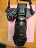 腾龙（Tamron）A068S 17-50mm F/4 Di III VXD大光圈超广角内变焦微单镜头风光人像旅行（索尼全幅E口） 实拍图