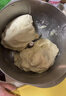 利仁（Liven）【大容量】和面机家用 揉面机7L活面机全自动家用商用发酵醒面中式西式厨师机HMJ-D7621 实拍图