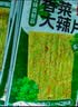 源氏 老式大辣片 豆皮辣条儿时怀旧解馋小零食 80 90豆腐干网红礼包 老式大辣片200g*5包1000g 实拍图