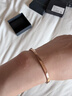 丹尼尔惠灵顿（DanielWellington）dw手镯女 经典玫瑰金大号手镯情侣款DW001生日礼物送女生 实拍图