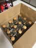 双沟大曲优异53度500ml*12瓶整箱装光瓶纯粮酒【金标升级装】 实拍图