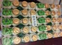 界界乐（Jelley Brown）界界乐乳酸菌饮料免疫球蛋白原味100ml*40瓶整箱活力装(无吸管) 实拍图