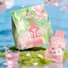 乐品乐茶【露思同款】LeTea冷泡茶叶樱花碧螺春花果袋泡茶包季节限定5包 实拍图
