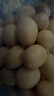 三只松鼠鱼皮花生500g/罐   坚果炒货花生米网红宿舍深夜解馋休闲零食品 实拍图