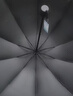 天堂伞 全自动雨伞三折 10骨加固一键开收易甩干简约商务自动伞 乌木黑 实拍图