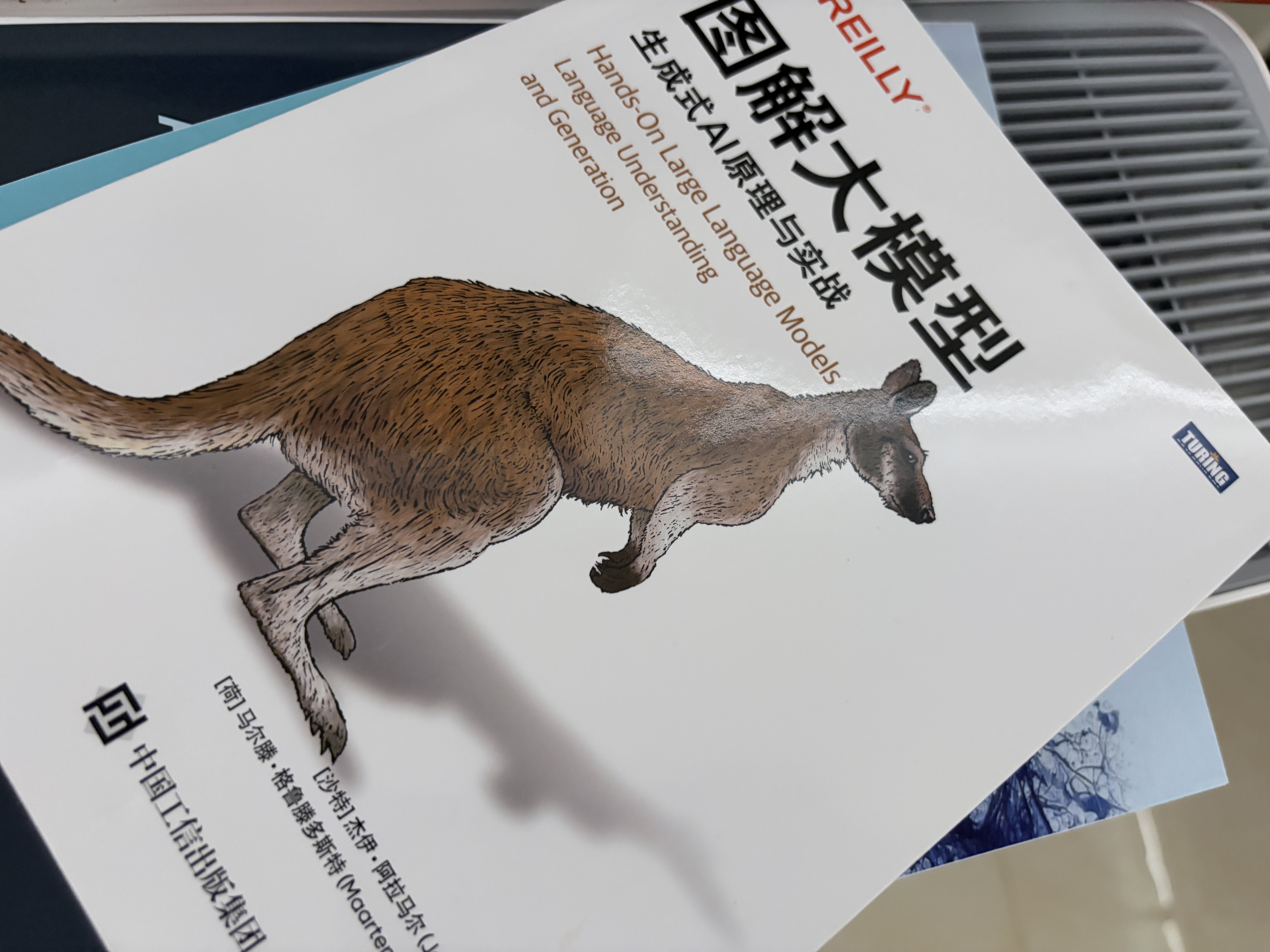 图解大模型+图解DeepSeek技术 京东套装2册 图灵出品 实拍图