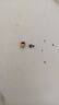 黑豆黄心黑豆优质东北黄芯黑豆非转基因杂粮豆浆五谷杂粮农家黑豆 【颗粒饱满】黄芯黑豆 2500克【巨划算5斤装】 实拍图