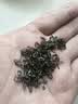 一杯香茶叶绿茶明前碧螺春250g2026新茶礼盒装送礼自己喝散装茗茶 实拍图