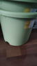 爱丽思（IRIS）Deepot花盆加厚树脂控根圆口绿萝绣球月季多肉发财树塑料加仑花盆 8号浅绿色(口径约26.6cm)约8L 实拍图