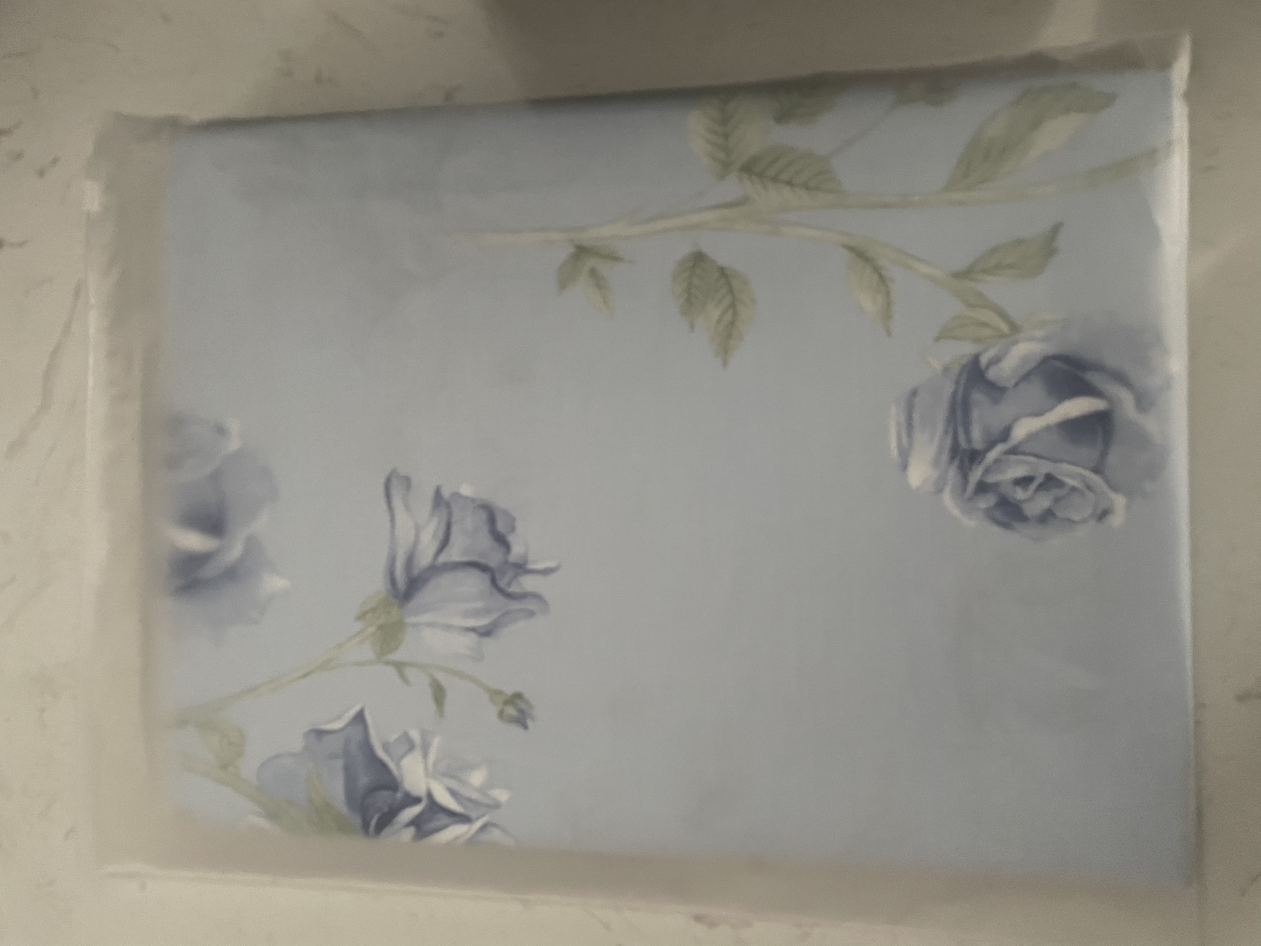 水星家纺床单纯棉100%全棉单件A类床罩床上用品双人被单200x230家居馆 实拍图