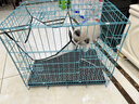 憨憨宠猫笼折叠猫笼子大号猫别墅加粗加密双层猫舍猫窝宠物猫咪用品家用 蓝色 600双层 实拍图