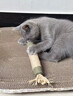 HOUYA猫薄荷木天蓼磨牙棒猫玩具逗猫棒猫咪宠物用品自嗨解闷 实拍图