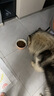 伯纳天纯狗粮中大型犬全价成年犬粮17kg羊肉蔓越莓味囤货装 实拍图