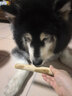 HELLOJOY咖啡木磨牙棒狗狗宠物玩具洁牙洁齿大中小型幼犬防拆家专用耐啃咬 实拍图