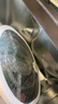 榄菊折叠电蚊拍充电式家用强力诱蚊灭蚊灯热门商品灭蚊拍电蚊器蚊子拍 实拍图
