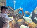 基诺浦（ginoble）宝宝学步鞋夏季季软底透气婴儿凉鞋男女8-18个月儿童机能鞋GB2203 嫩绿/白色 19.5 120mm 适合脚长116-124mm 实拍图