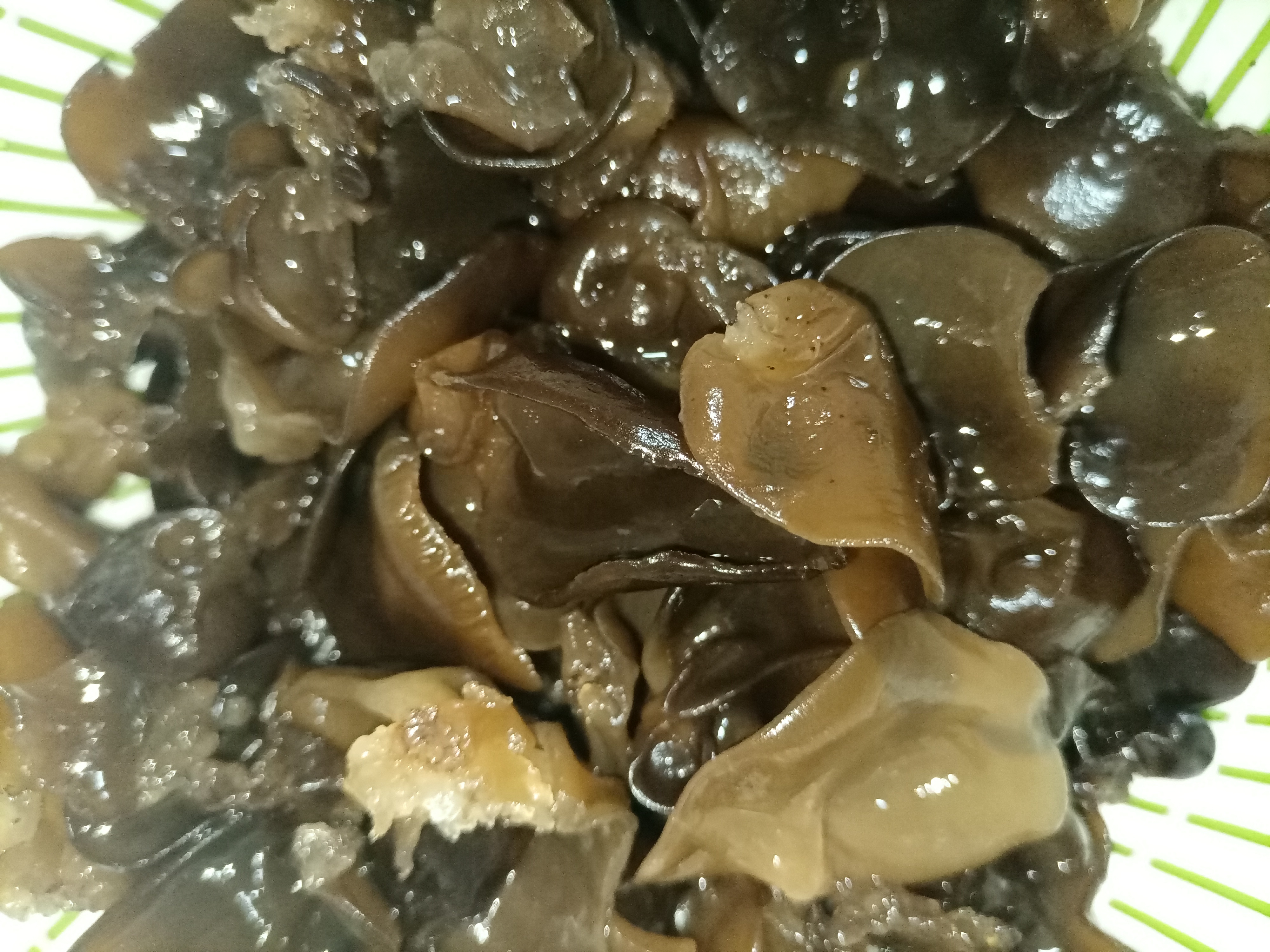 双塔东北黑木耳500g肉厚无根干木耳东北特产小碗耳火锅食材南北干货 实拍图