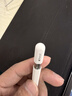 Apple/苹果 Pencil(USB-C) 磁吸触控笔手写笔苹果笔电容笔iPad笔 适用iPad 11/mini/Pro/Air 实拍图