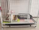 酷奇宠狗笼方管狗笼子大中小型犬金毛加粗宠物狗狗笼子狗屋用品 白色带天窗94*64*85cm 建议60斤内中大型犬 实拍图