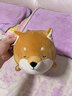 名创优品（MINISO）柴犬系列毛绒公仔趴姿玩具娃娃抱枕睡觉卧室办公室午睡枕生日礼物 实拍图