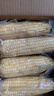 东东买菜玉米东北白糯玉米正宗玉米粗粮鲜食新鲜糯玉米大棒真空装 新品种甜加糯 白糯玉米250g*8支 实拍图