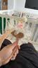 仕彩生日帽头饰小女孩生日礼物公主派对拍照道具氛围场景布置可爱发箍 实拍图