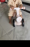 babycare儿童平衡车四轮滑行滑步车宝宝学步车无踏板1-3岁周岁礼物 空镜粉 实拍图