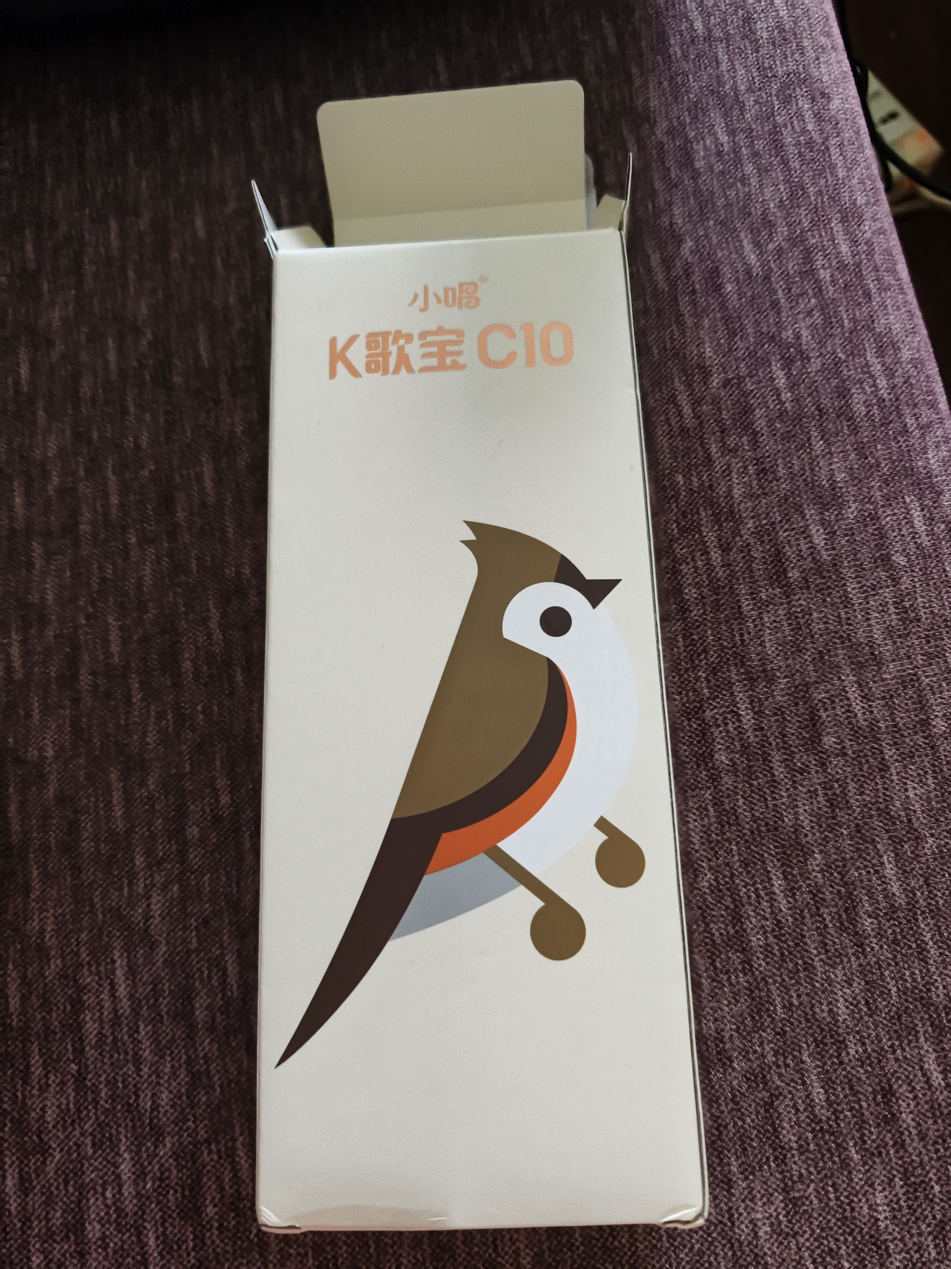 唱吧小巨蛋C10麦克风话筒音响一体机小唱家用K歌宝KTV唱歌专用直播可连电视全民家庭蓝牙无线儿童礼物 唱吧C10 黑色 实拍图