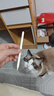 Apple/苹果 Pencil Pro 磁吸触控笔手写笔苹果笔电容笔书写绘画iPad笔 适用于iPad Pro/Air/mini机型 实拍图
