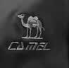 骆驼（CAMEL）休闲裤男士工装裤户外防泼水宽松阔腿直筒梭织新款运动裤子 实拍图