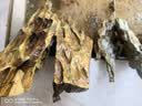 宠街坊鱼缸松皮石造景石假山天然小块碎石多孔草缸成品原石片真石头5斤 实拍图