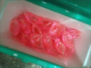 超能【肖战同款】云感香柔(花漾护色)洗衣凝珠36颗浓缩洗衣液护色留香 实拍图