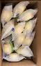 港荣蒸蛋糕奶香900g面包零食饼干西式糕点甜品零食下午茶独立小包装 实拍图