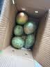 京鲜生攀枝花凯特芒果 净重4.5斤 单果300g+ 新鲜水果 源头直发 实拍图