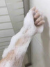 维特丝沐浴露男女士持久留香72小时香体控油滋润保湿补水乳液金榜第1名 实拍图