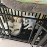 北鼻狗【升级全管加强 】狗笼中型犬大型犬狗笼子宠物狗狗笼子金毛用品 3cm管双喂食门狗笼-94*64*85CM 建议70斤内 实拍图