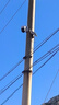 奥克斯4g太阳能摄像头室外无电无网终身免费流量免插电手机远程高清监控器家用户外360度无死角全景夜视 实拍图