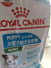 皇家狗粮 幼犬狗粮 宠物 小型犬 MIJ31 全价犬粮 2-10月 2KG 实拍图