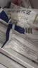 中街冰点  老中街冰棍 零蔗糖雪糕 65克*10支 冰激凌冰淇淋 家庭装 实拍图