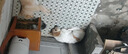 鲜粮说鸭肉梨冻干狗粮幼犬成犬小型中大型犬粮30kg【宠物金选】 实拍图